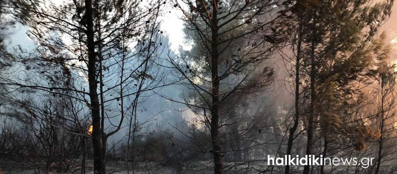 Μάχη με τις φλόγες στη Σιθωνία: Κάτοικοι εγκαταλείπουν τα σπίτια τους - Κατάσταση εκτάκτου ανάγκης σε Σάρτη-Συκιά